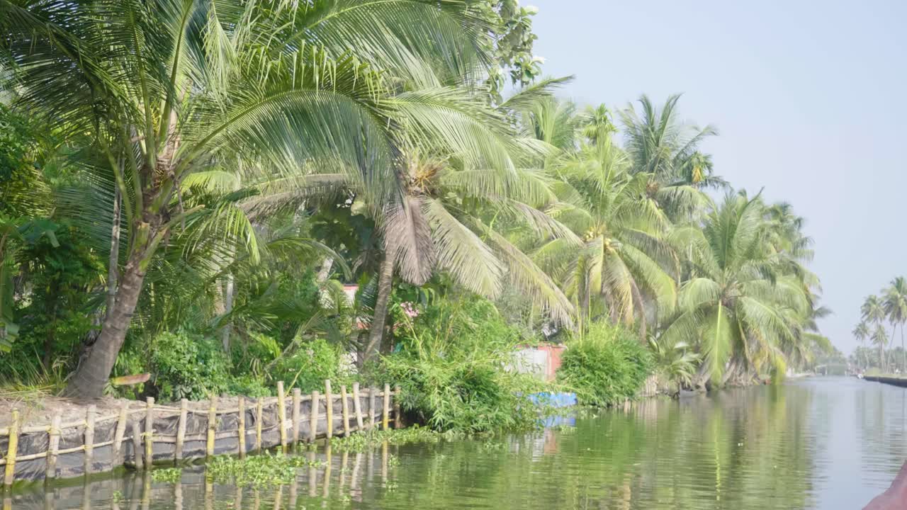 Ripresa da una barca che si muove lentamente lungo le backwaters del Kerala nel caldo del giorno con palme che costeggiano la riva