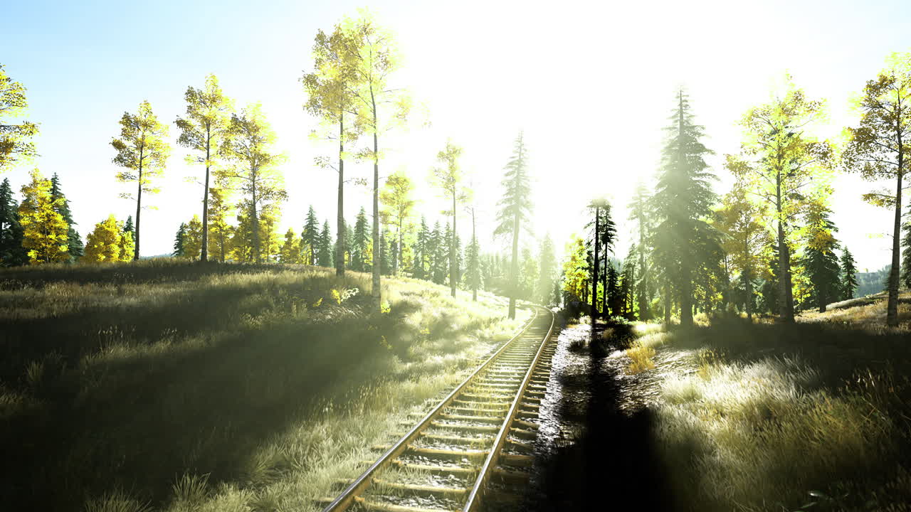 Sunlight filters through trees along the abandoned railway in autumn landscape