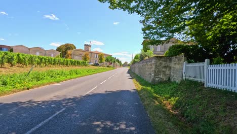 a peaceful road through lush vineyards and countryside