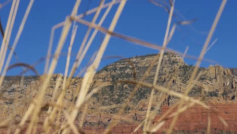 closeup of mountains and brush in sedona