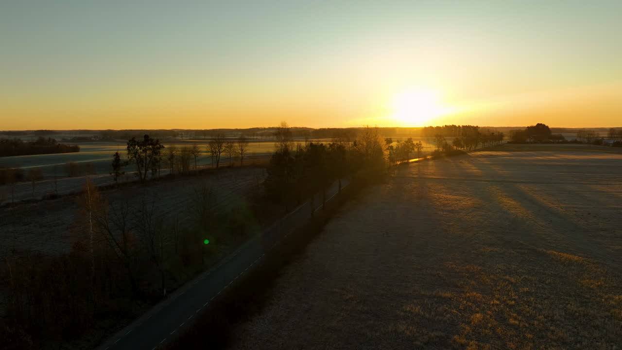 Golden sunrise over frosty countryside fields with tree silhouettes in winter morning light