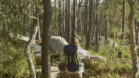 Rückansicht-Zweier-Junger-Backpackerinnen,-Die-An-Einem-Sonnigen-Tag-Gemeinsam-Im-Wald-Wandern