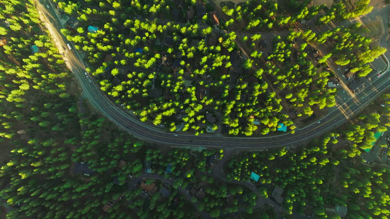 Pine tree forest with private houses among the trees. Two-lane highway going through the territory from top.
