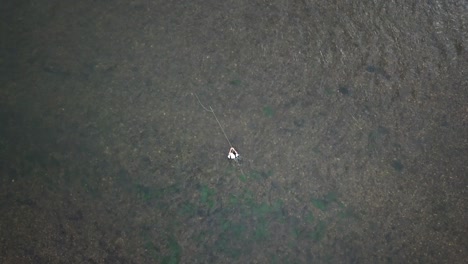 un dron de ojo de pájaro disparó sobre un hombre pescando con mosca en el río provo en las montañas de utah