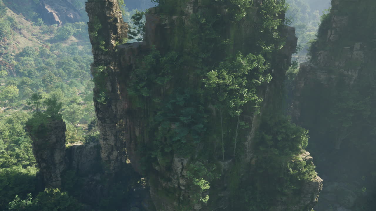 высокий скал в пышном лесу