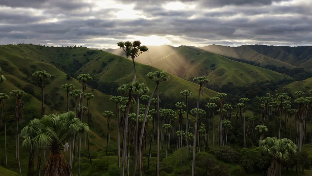 Scenic Mountain Valley with Palm Trees at Sunrise/Sunset