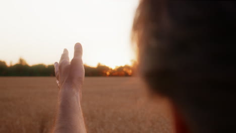 hand reaching towards sunset over a golden wheat field