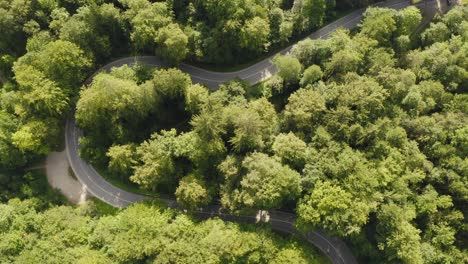 Zeitraffer---Luftaufnahme-Von-Schnell-Fahrenden-Autos,-Die-Durch-Eine-Enge-Kurve-In-Einer-Sommerlichen-Waldlandschaft-Fahren