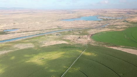 Vista-Aérea-De-Campos-De-Maíz-Con-Sistemas-De-Riego-De-Pivote-Central-En-La-Cuenca-De-Columbia-Del-Estado-De-Washington-Oriental-A-Fines-Del-Verano