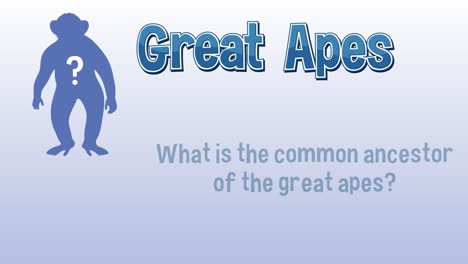 animated sequence depicting great apes evolution