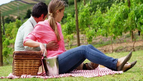 pareja feliz sentada juntos e interactuando en el campo