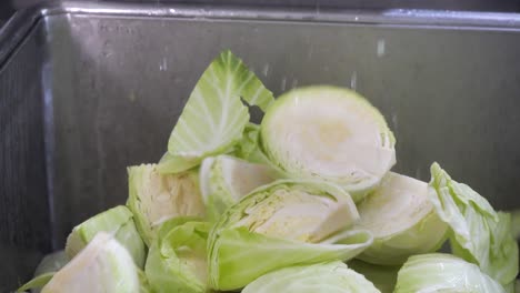 cinematic view of cabbages are being cut and thrown into a pot