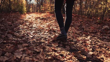 woman walking on a fall foliage path