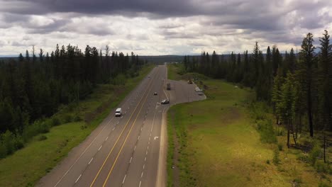 esplendor aislado: bosques boreales junto a la carretera