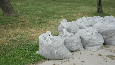 a row of full trash bags filled with lawn and yard waste on a grassy path