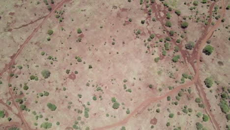 drone view small roads passing over the small desert in amboseli kenya.  deforestation of trees cover in the outer park of kenya