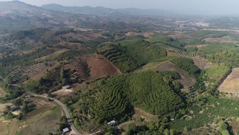 aerial, thailand sustainable shifting cultivation of tree plantation