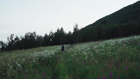 Persona-En-Medio-De-Campos-De-Flores-Silvestres-Durante-El-Atardecer.