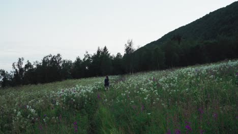 person in the midst of wild flower fields during sunset