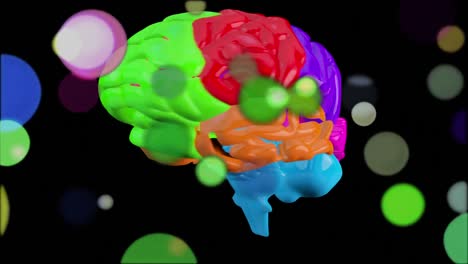 animation of 3d brightly colored human brain rotating on black background