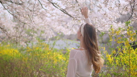 woman touching flowers of cherry blossom on a breezy day in yangjae citizen's forest park in seocho, seoul, south korea