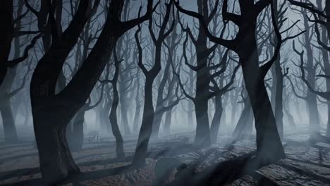 eerie forest scene with twisted trees and fog, captured from a low-angle, cinematic style, perfect