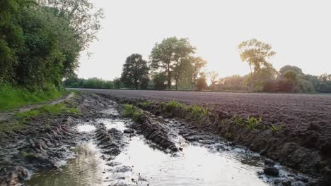 Field-dirt-road-with-mud,-puddles-and-flies,-ground-level-pull-back