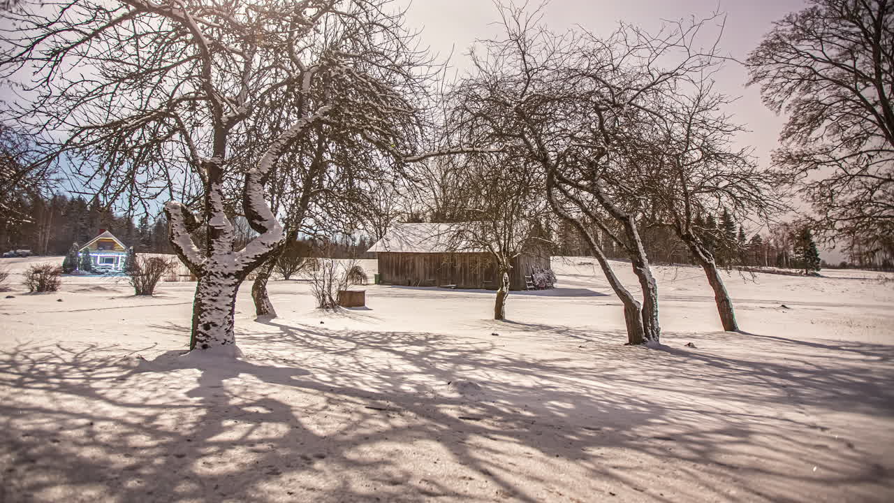 달과 별이 너무 밝아서 짙은 안개가 불어올 때까지 눈을 가로질러 나무에서 그림자를 드리웁니다 - 시간 경과