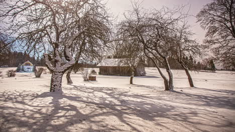 Mond-Und-Sterne-So-Hell,-Dass-Er-Schatten-Von-Den-Bäumen-über-Den-Schnee-Wirft,-Bis-Dicker-Nebel-Aufzieht---Zeitraffer