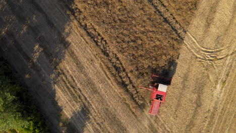 Antena-De-Arriba-Hacia-Abajo-Que-Muestra-Maquinaria-Industrial-Cosechando-Trigo-En-Tierras-De-Cultivo-Durante-Covid19