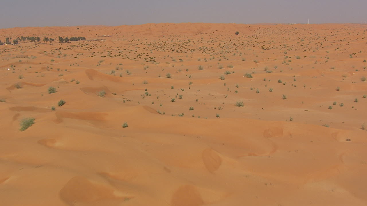 식물의 점이 있는 사막 풍경 위의 저고도 비행