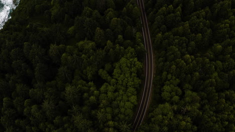 Cape-Lookout-Road-winding-in-dense-conifer-forest-along-Oregon-Coast,-aerial