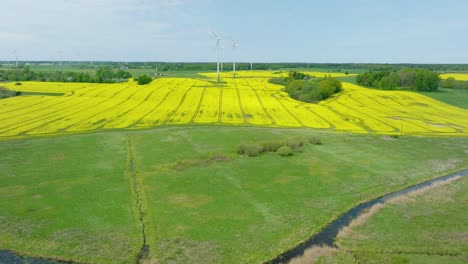 Aerial-establishing-view-of-wind-turbines-generating-renewable-energy-in-the-wind-farm,-blooming-yellow-rapeseed-fields,-countryside-landscape,-sunny-spring-day,-wide-drone-shot-moving-forward