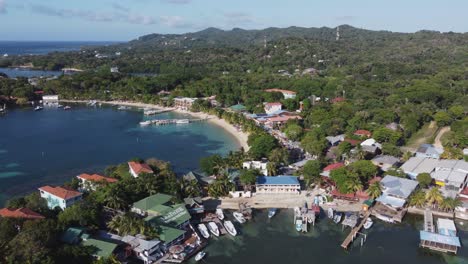 dolly aérea: la soleada costa del mar caribe en el hermoso roatan, honduras