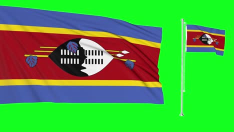 green screen eswatini two flags waving swaziland flagpole animation 3d chroma key