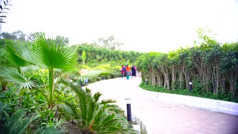 Waste to Wonder Theme Park