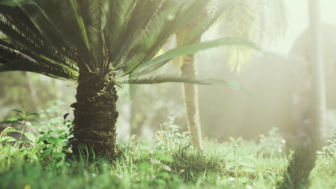 Lush greenery under a palm tree in a sunlit tropical environment