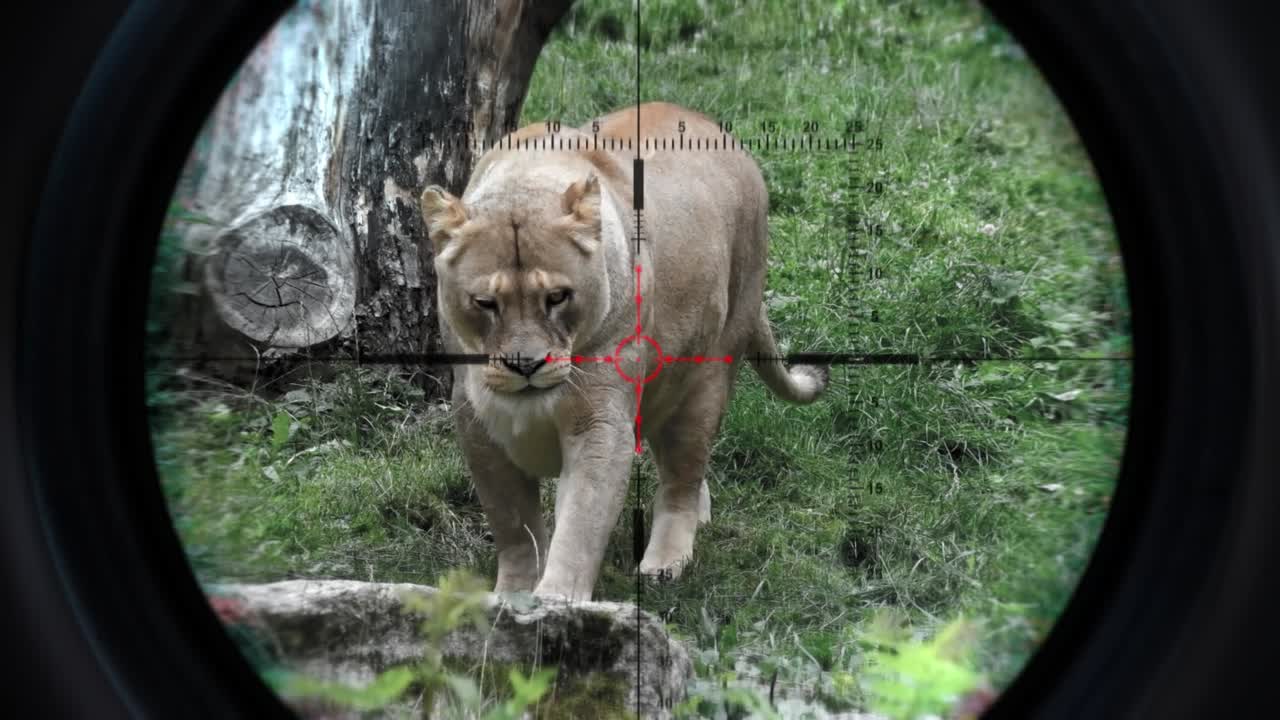 Viste Dinamiche Attraverso Cannocchiali Ottici e Binocoli