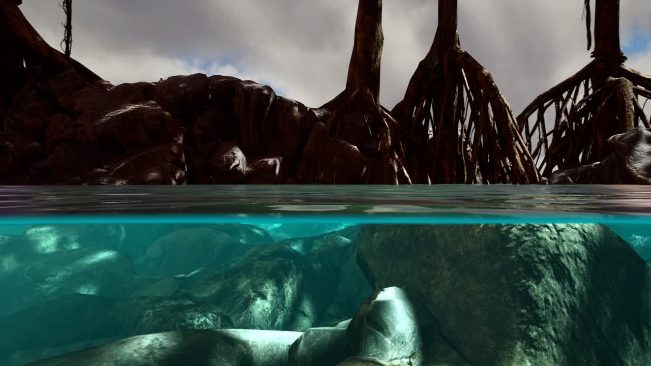 만그로브 나무 근처의 해수면 위와 해수면 아래