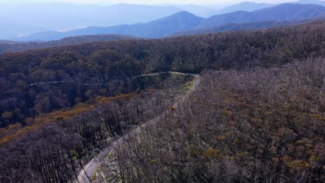 Desolate-Road-On-The-Forests-Of-Kosciuszko-National-Park-In-New-South-Wales,-Australia