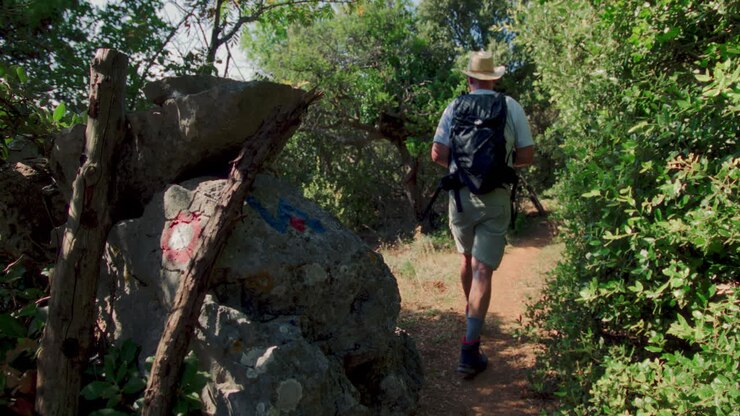 Dolly pan as man walks along dirt path hiking and exploring a forested trail