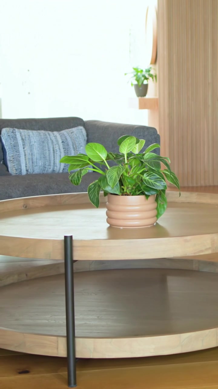 Vertical video: Panning camera after start, showing clay pot with plant on two-tier table at home