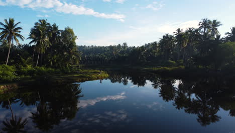 Concepto-De-Paraíso,-Palmeras-Con-Reflejo-En-El-Agua,-Mui-Ne,-Vietnam,-Antena