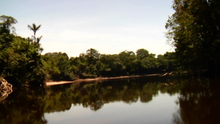 POV shot going down the Amazon River in Brazil 1