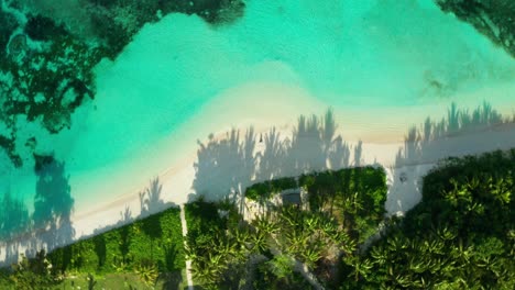 gloria matutina pura en una isla exótica en fiji rodeada de agua azul