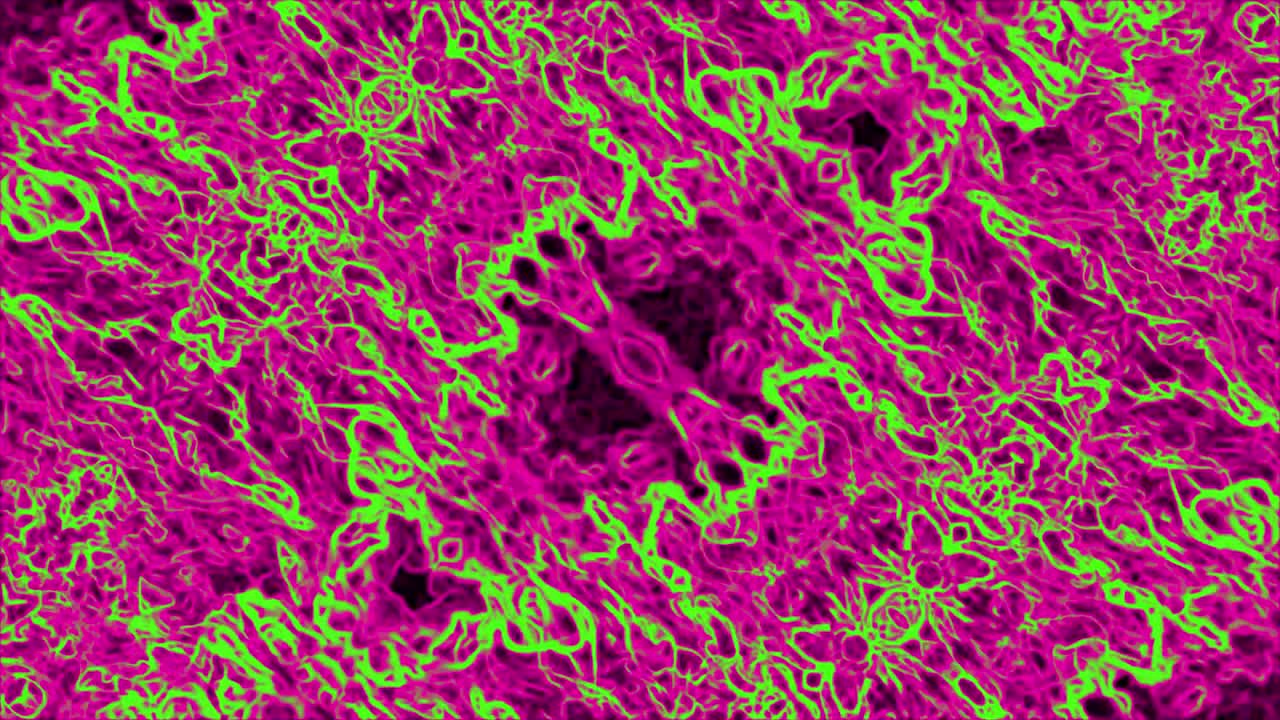 el fondo del video caleidoscópico. el fondo del caleidoscopio psicodélico geométrico. la rotación del bucle geométrica del caleidoscopio psiquedélico 4k. para el bucle de la etapa de vj dj, el fondo del terapeuta de arte de yoga, la introducción de la moda