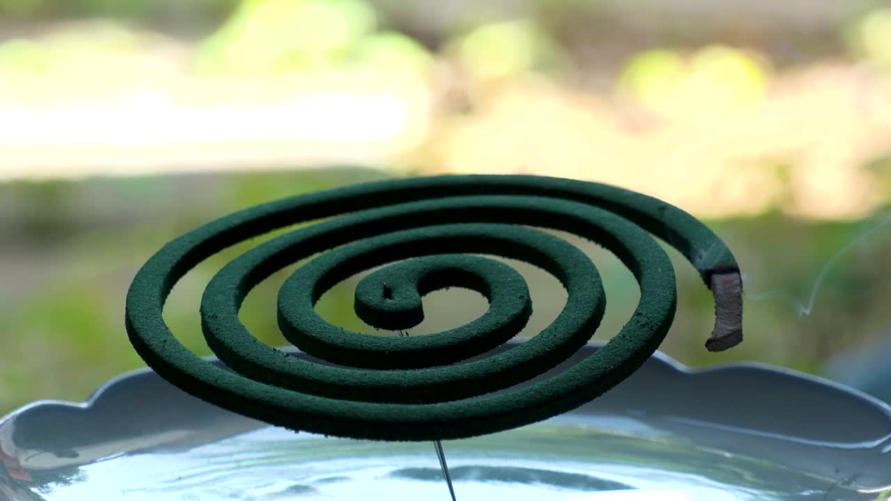 Burning green MOSQUITO COIL in Japanese house. Summer season concept video.