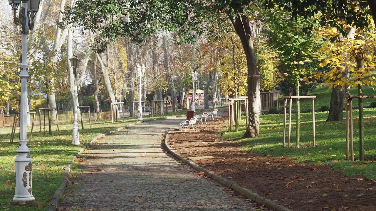 camino del parque en otoño