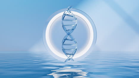 dna with water surface background, 3d rendering.