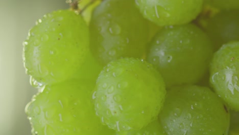 un manojo de uvas verdes cubiertas de humedad giran alrededor
